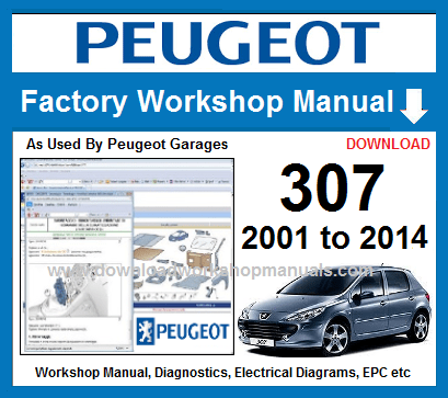 Peugeot 307 Workshop Repair Manual Download